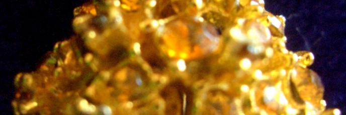 alice caviness pineapple pin